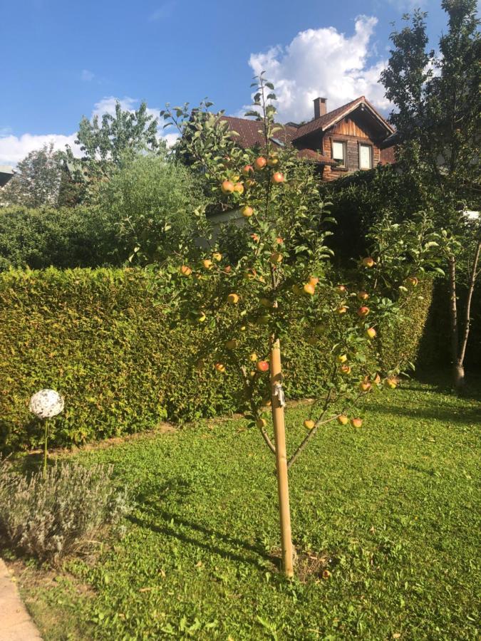 Apartment Auszeit Im Allgaeu